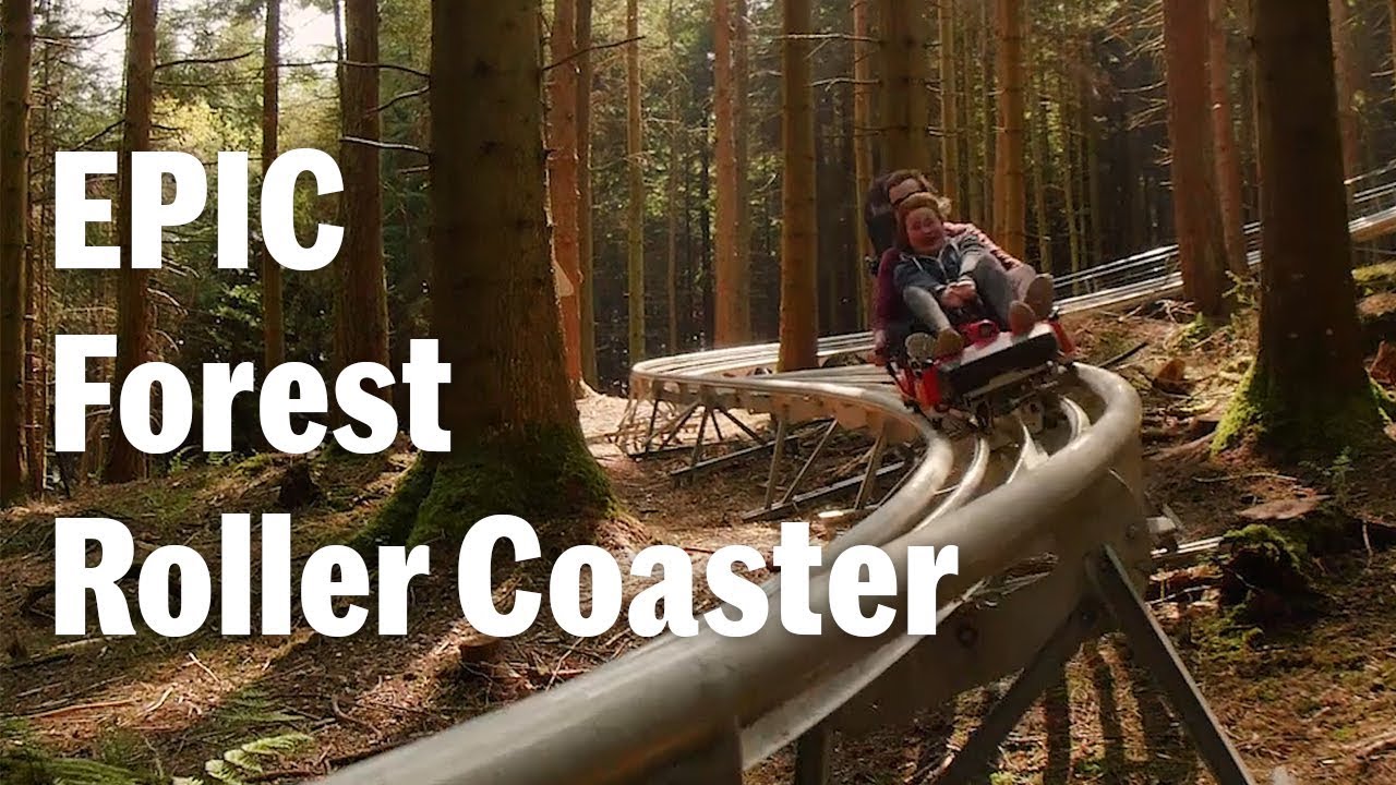 Zip World Forest Coaster  is EPIC