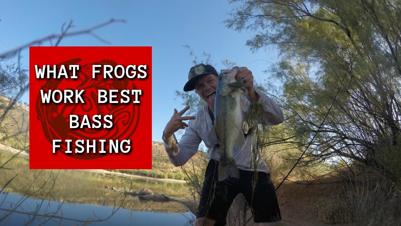 What Bass Fishing Frog You Should Use Tips for Catching Yourself a Bass on a Frog. YouTube