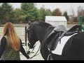 Friends || Equestrian Music Video