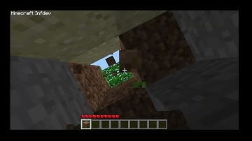 Minecraft Infdev 20100616-1! Trees Only Having 1 Log Bug!