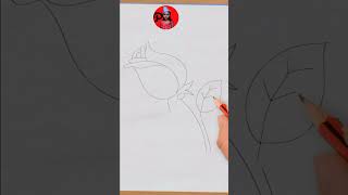 ROSE Drawing Easy 🌹| How to Draw a Rose step by step #shorts
