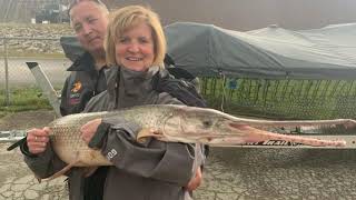 Missouri Record Fish Stories - Longnose Gar