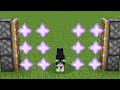 nether star + cat + nether star = ???