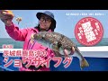 【鹿島のフグ釣り】忍塾THE・ムービー04 の動画、YouTube動画。