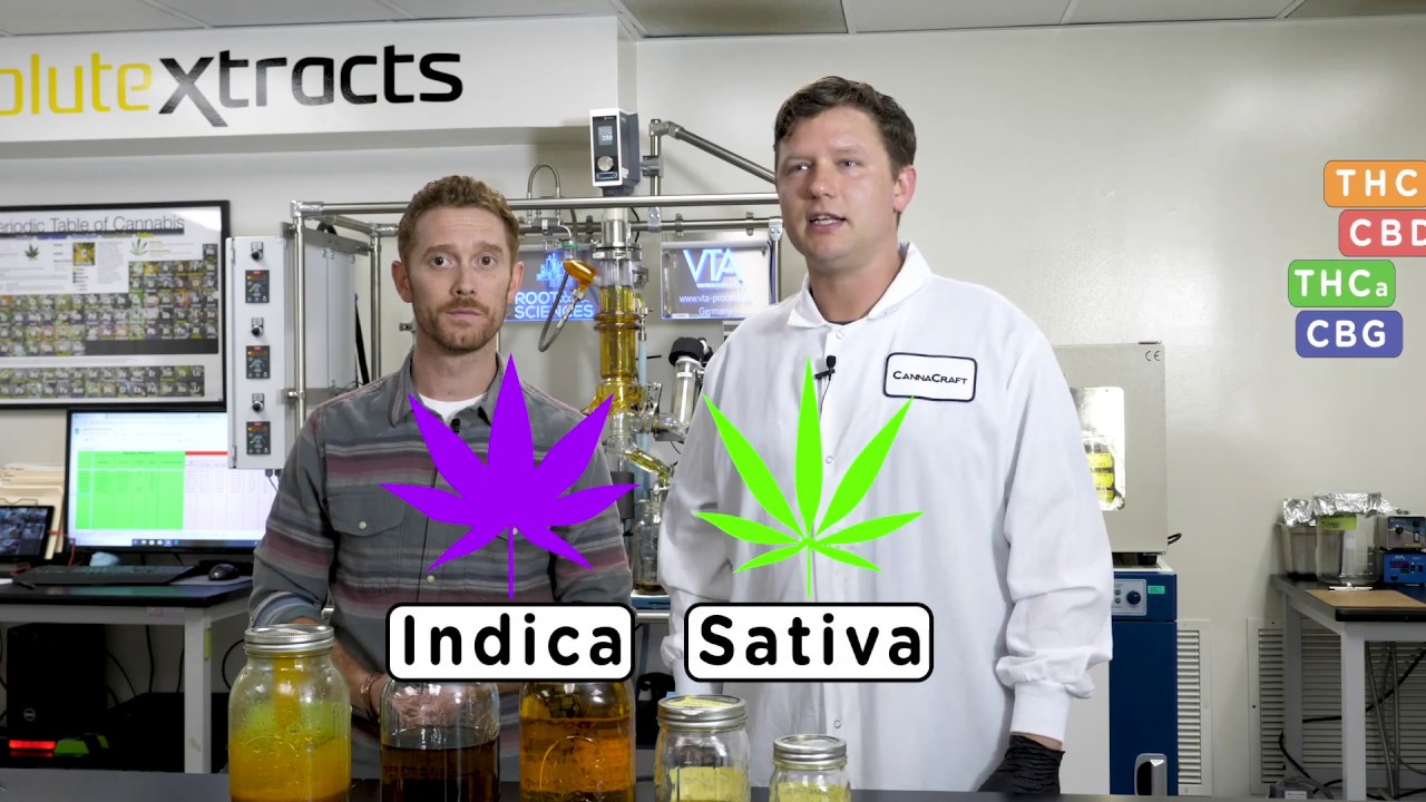 How It's Made: Cannabis Full Spectrum Oil | RBN CBD Oil ...