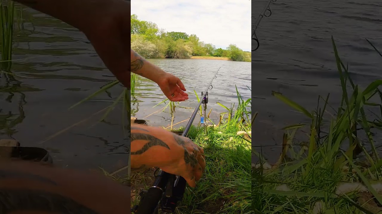 FISH ON!!!!