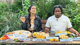 Round 2 of Yarrow City's hot pepper tastings | Tears may have been shed