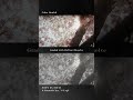 Color Grading #1