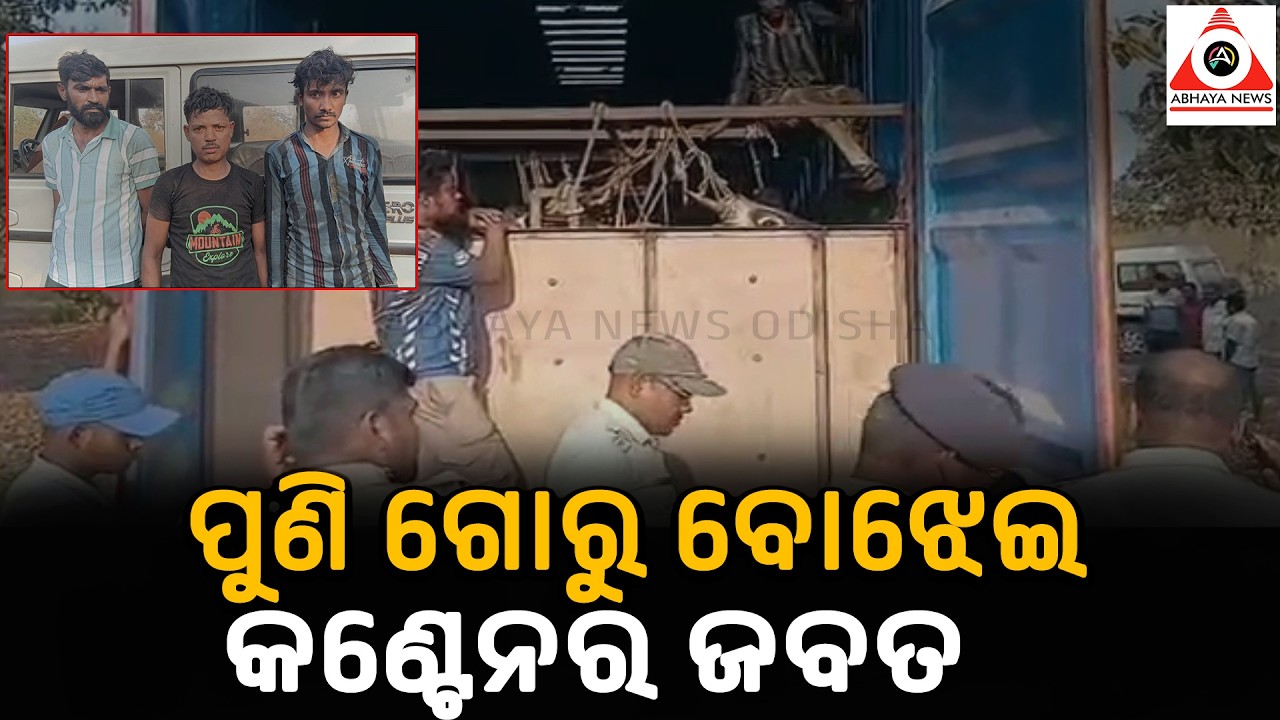 ପୁଣି ଗୋରୁ ବୋଝେଇ କଣ୍ଟେନର ଜବତ,୩୫ଟି ଗୋରୁ ଉଦ୍ଧାର | #abhayanews #mayurbhanj #breakingnews #highlights