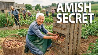 How 10 Amish Farmers Grow Food Worth $50,000 Without Machines | The Amish Gardening