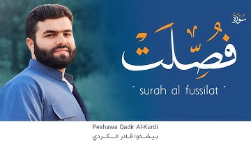 سورة فصلت كاملة - ارح سمعك هدوء- بصوت القارئ بيشةوا قادر الكردي