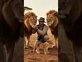 lion king