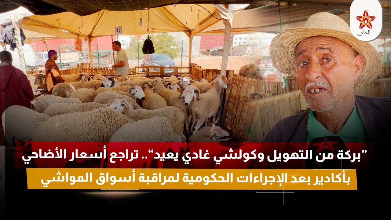 “بركة من التهويل وكولشي غادي يعيد”.. تراجع أسعار الأضاحي بأكادير بعد الإجراءات الحكومية