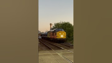 First 3J51/3J52 RHTT of the 2025 season! 37254 + 37099 through Beverley - 22/09/2025 #trains #rhtt