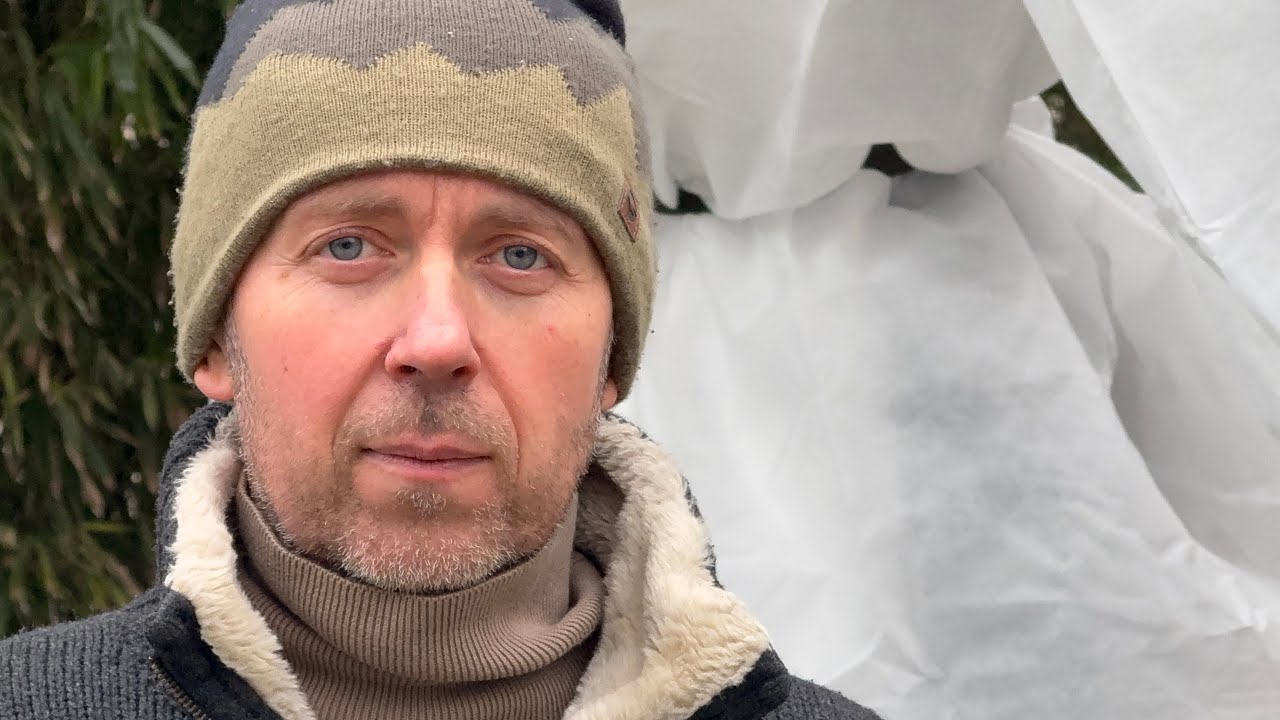 Jak zabezpieczyłem 80 palm przed mrozem?