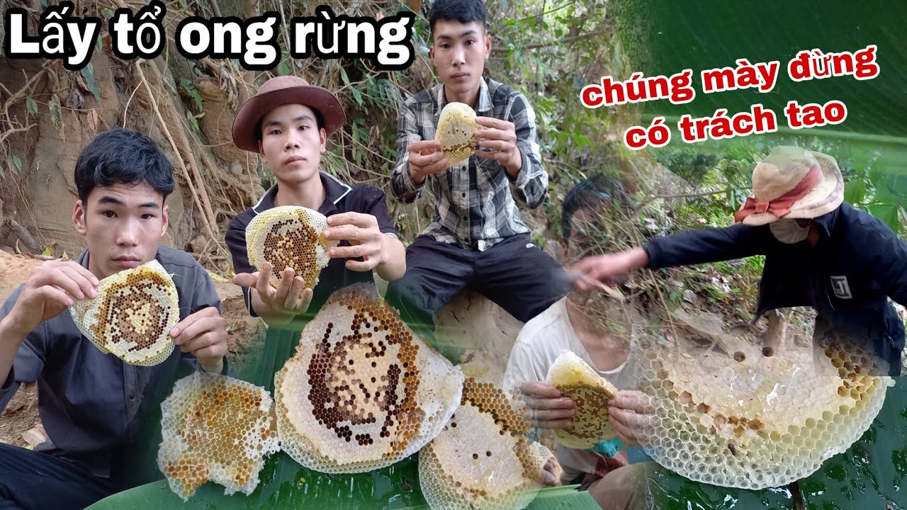 Văn Thủy Vào Rừng Lấy Tổ Ong Nhưng Bị Ông Năm Phiền| Tuyền Vlog