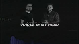 BlackTune x Airnold - Voices In My Head (Anyma) 2025