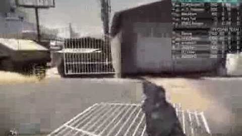 More Hackers Caught On COD Ghosts