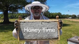 Pulling First Honey Regan and Taylor Yard 5-4-2026