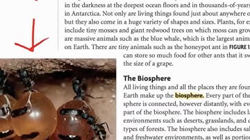 Multipass Intructions Video