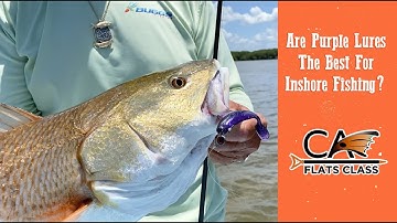 Are Purple Lures The Best For Inshore Fishing? - Flats Class