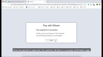 Pay by Link  Demo Video