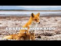 Eastern Hokkaido photography & video, adventure tour!