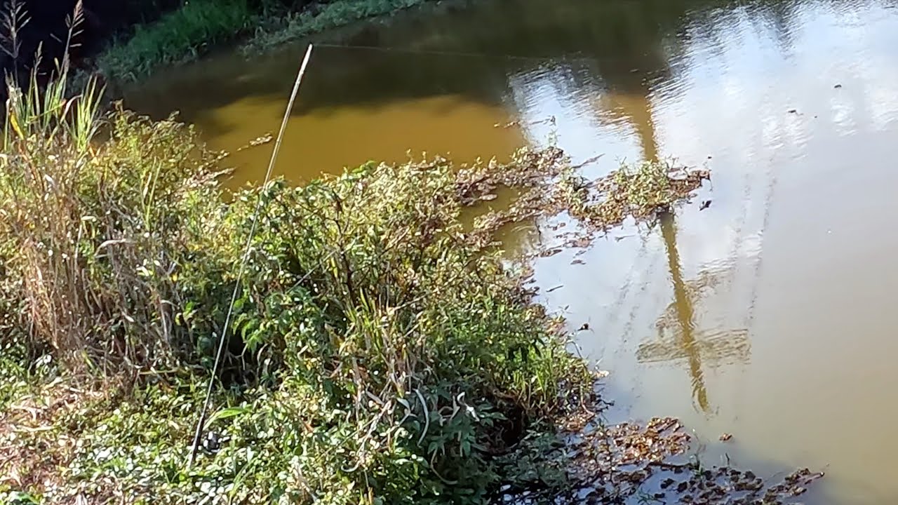 I Found More Orange Water | Fishing For Whatever
