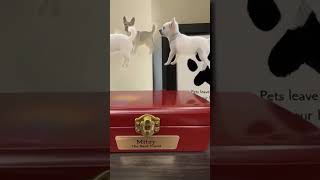 Pet Memorial Tribute Sample