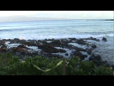 Tsunami in maui hawaii Tsunami in maui hawaii