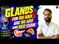 Glands (Endocrine System) | Endocrine Glands Complete Biology for RO ARO, AHC RO ARO & HEO 2026