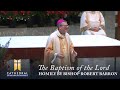 The Baptism of the Lord, Homily by Bishop Robert Barron (Jan 10, 2016)