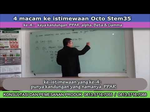 Cara Sehat dengan Manfaat OCTO STEM 35 FIRAXIS 0813 5716 7055 0813 5716 7088 Cara Sehat dengan Manfaat OCTO STEM 35 FIRAXIS 0813 5716 7055 0813 5716 7088