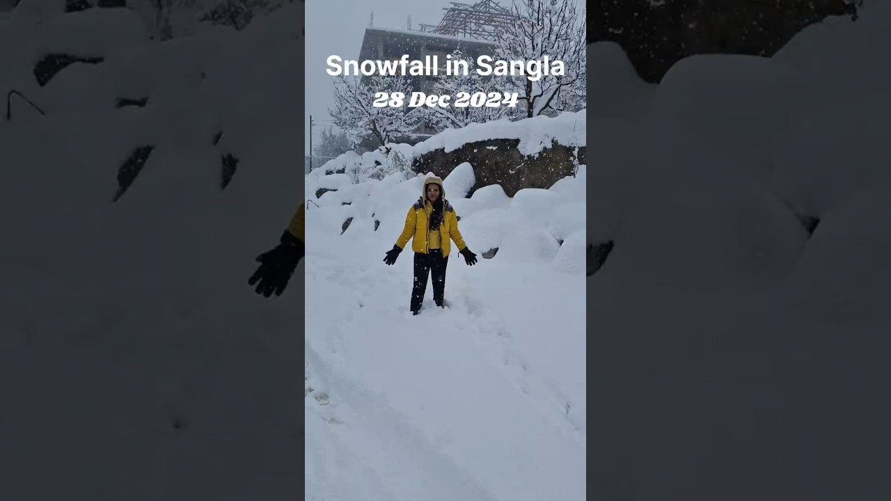 Heavy snowfall in Sangla.    