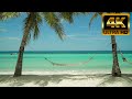 Calm tropical beach relax on a hammock with wave sounds 8 hrs 4k