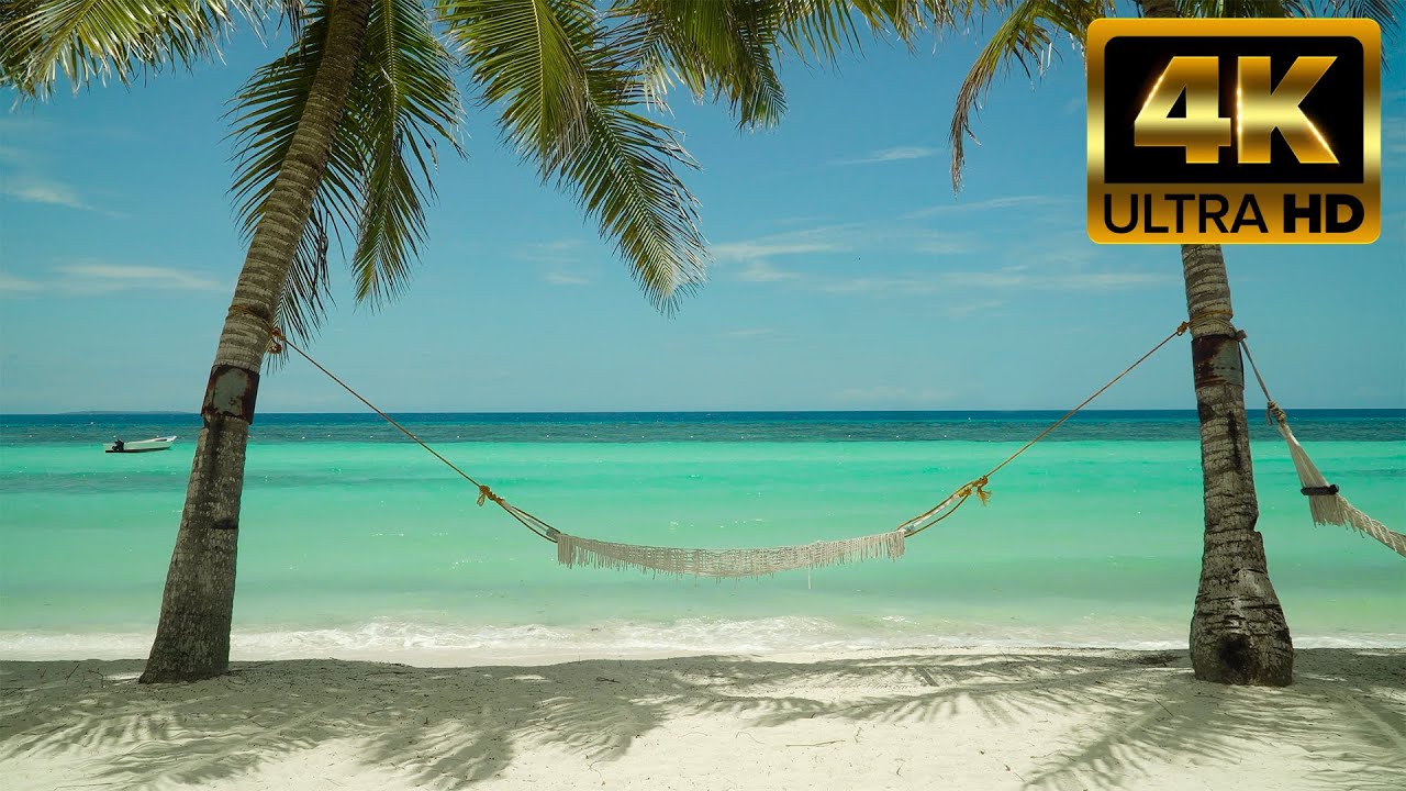 🌴Calm Tropical Beach Relax On A Hammock With Wave Sounds 8 Hrs 4K