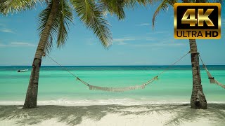 Calm Tropical Beach Relax on a hammock with Wave Sounds 8 hrs 4K