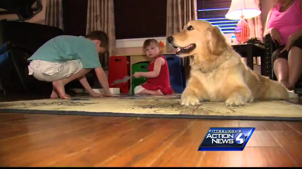 Girl, 5, suffers seizure in store, employees rush to help