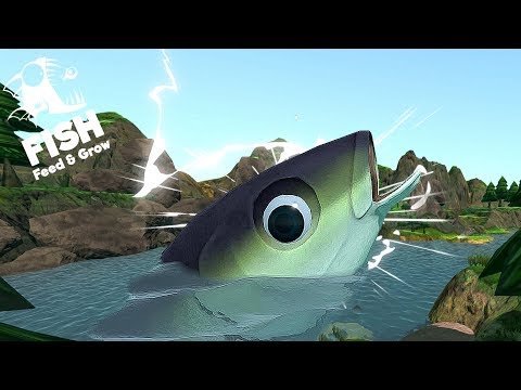 Видео: ЭВОЛЮЦИЯ МАЛЬКА ДО ГИГАНТА РЫБИЙ ЧЕЛЛЕНДЖ FEED AND GROW FISH