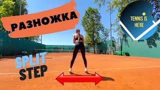 Разножка в теннисе! Split step TENNIS