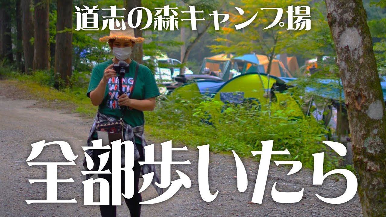 キャンプ場レビュー 道志の森キャンプ場 予約不要 全長2kmの巨大フリーサイトを全部歩いたら 時間かかった Youtube