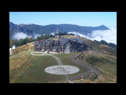 Дачи Путина. ФОТО