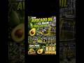 🥑 How Avocado Oil Is Made | From Avocado to Pure Oil! 🛢️🏭