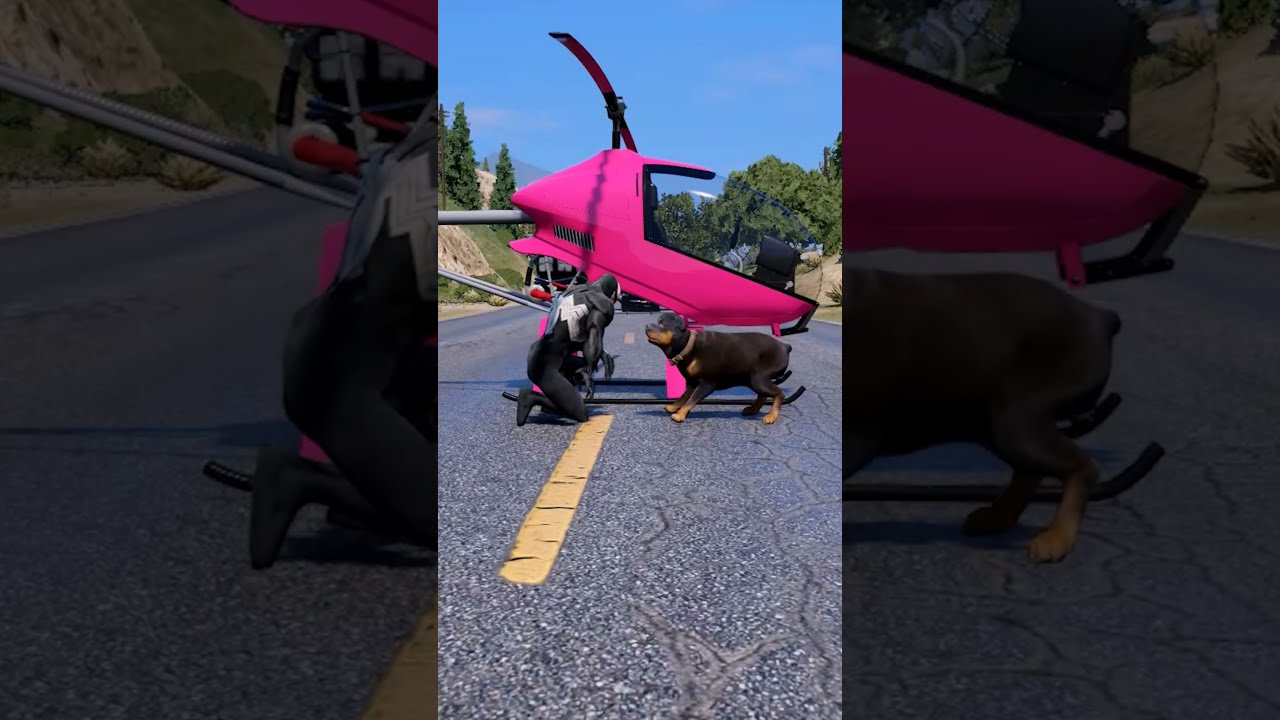 GTA V LIONESS MOM SAVING CHOP Shorts