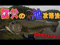 【親父バサー必見‼】短時間で魚を釣る為のコツ‼