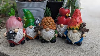 Cutest Garden Gnomes Ever!