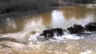 VID 20150207 113439 3941