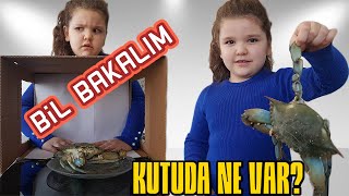 &quot;KUTUDA NE VAR TAHMİN ETME&quot; OYUNU OYNADIK. (Dokunarak Bil)