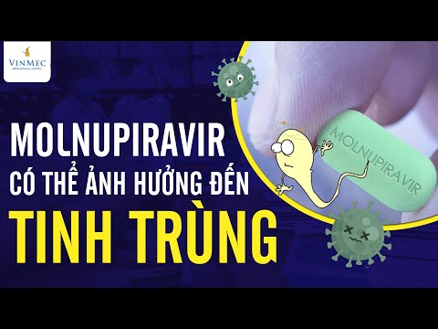 Video Cách sử dụng thuốc Molnupiravir điều trị COVID-19 - youtube