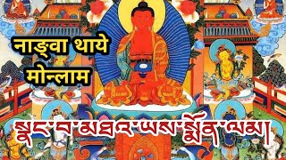 Nangwa Thaye Monlam | སྣང་བ་མཐའ་ཡས་སྨོན་ལམ | Amitabh Buddha Prayer - Reborn In Pureland